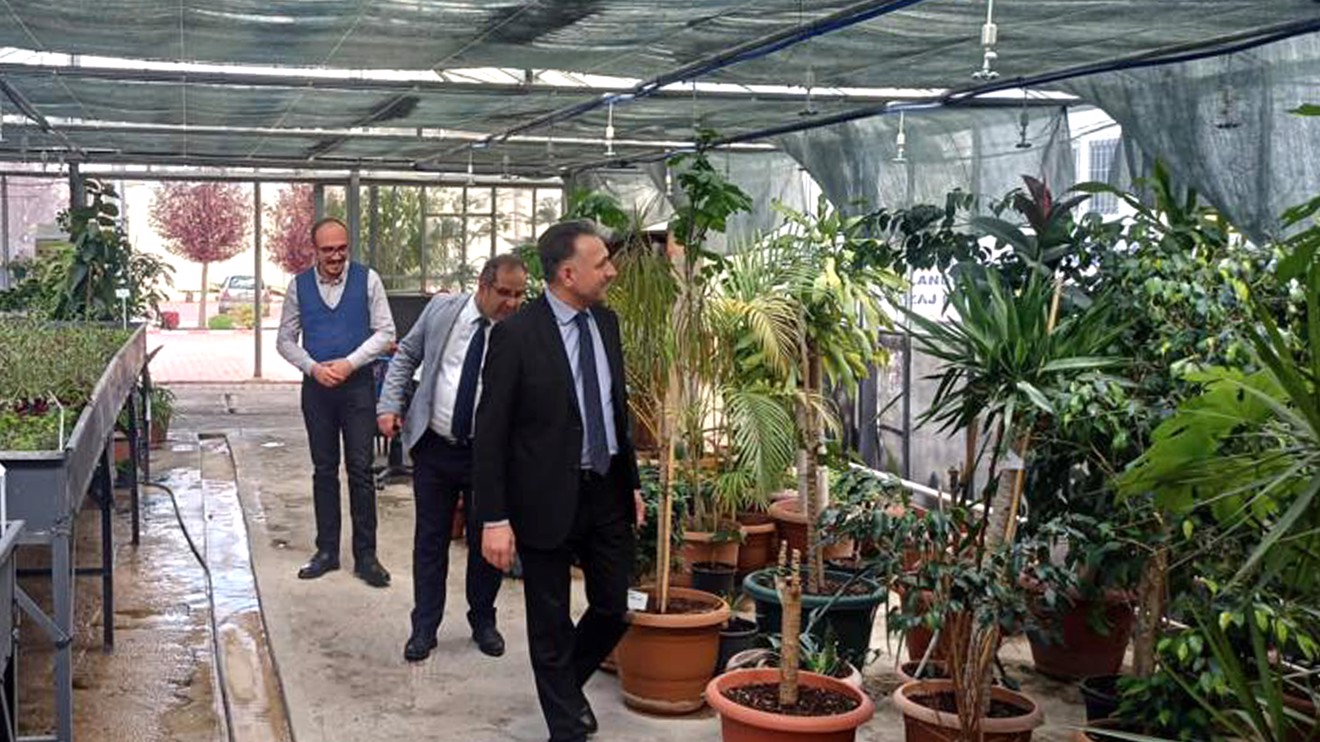 Selçuk Üniversitesinde yıllık ortalama 65 bin bitki üretiliyor